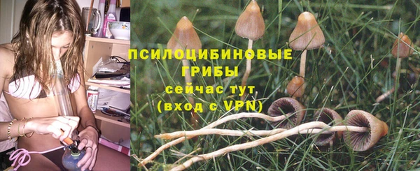 не бодяженный Богородск